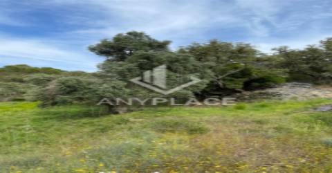 Herdade com enorme potencial.