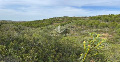 Herdade com enorme potencial.