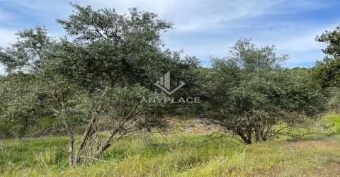 Herdade com enorme potencial.