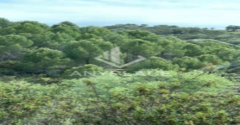 Herdade com enorme potencial.