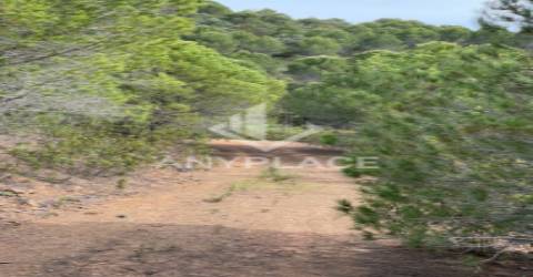 Herdade com enorme potencial.