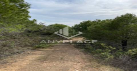 Herdade com enorme potencial.