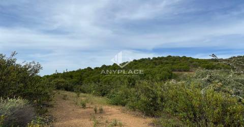 Herdade com enorme potencial.