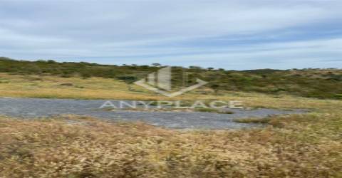 Herdade com enorme potencial.