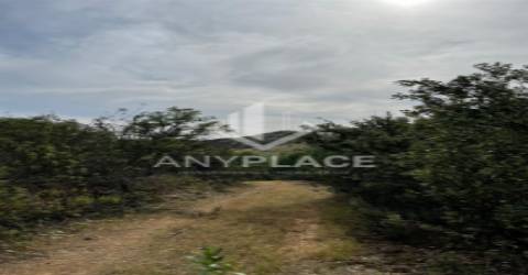 Herdade com enorme potencial.