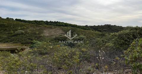 Herdade com enorme potencial.