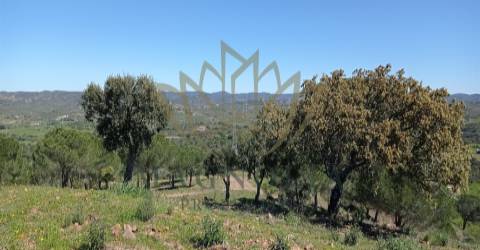 Herdade com 80 Ha, com uma ruína de 360m2 junto à barragem do Funcho.