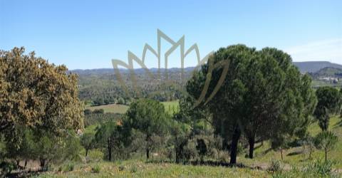 Herdade com 80 Ha, com uma ruína de 360m2 junto à barragem do Funcho.