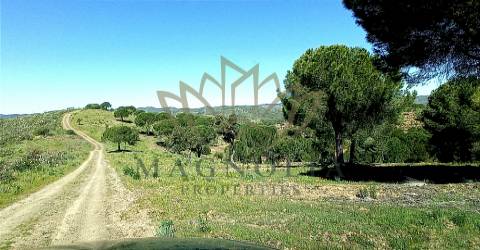 Herdade com 80 Ha, com uma ruína de 360m2 junto à barragem do Funcho.