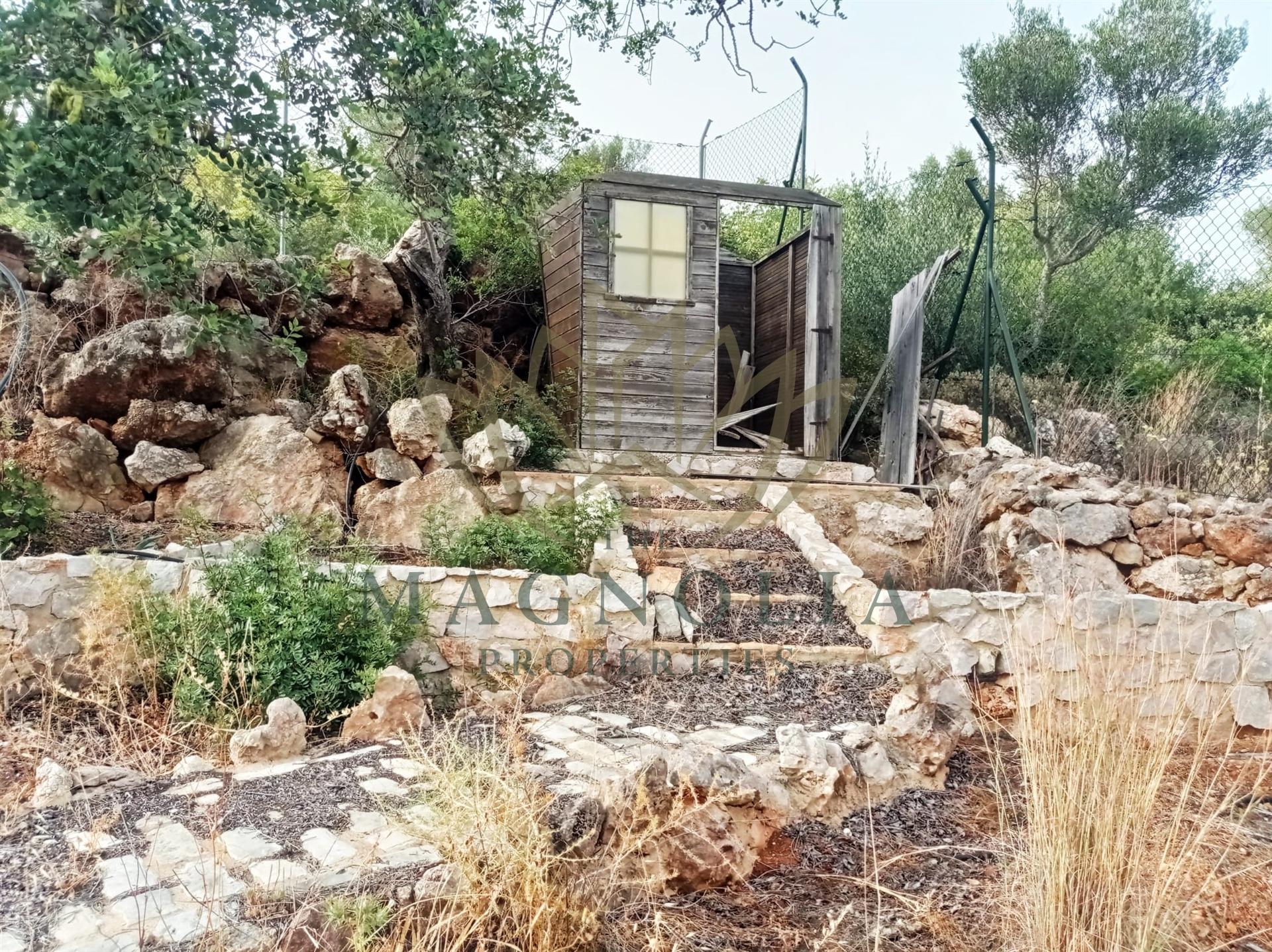 Terreno Para Construção  Venda em Boliqueime,Loulé