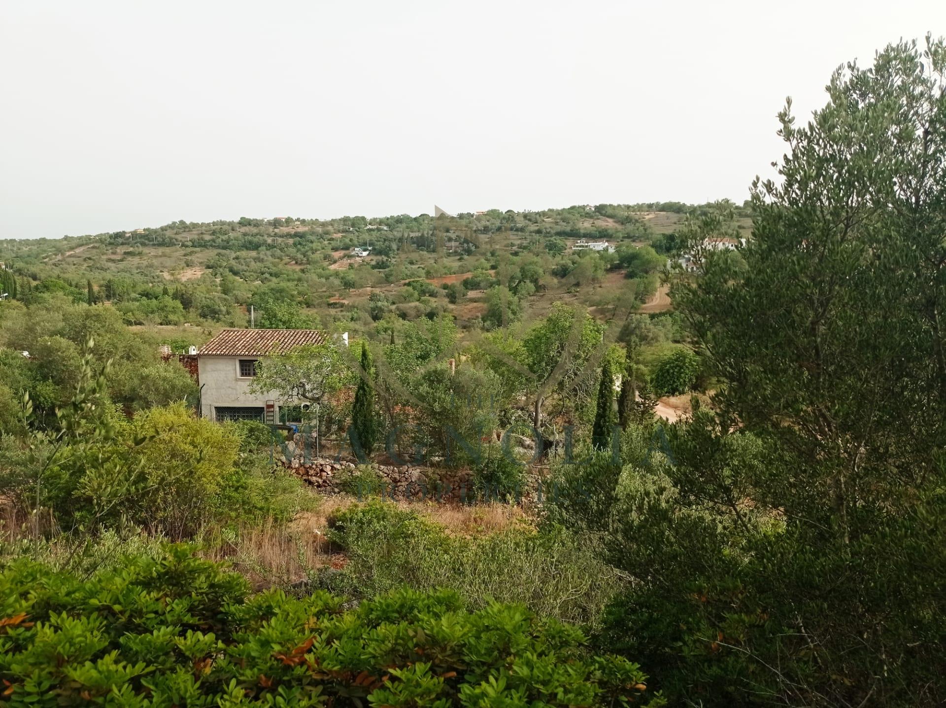 Terreno Para Construção  Venda em Boliqueime,Loulé