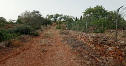 Terreno Para Construção  Venda em Boliqueime,Loulé
