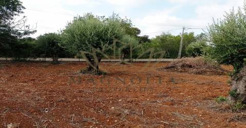 Moradia V3, Poço Novo, Loulé