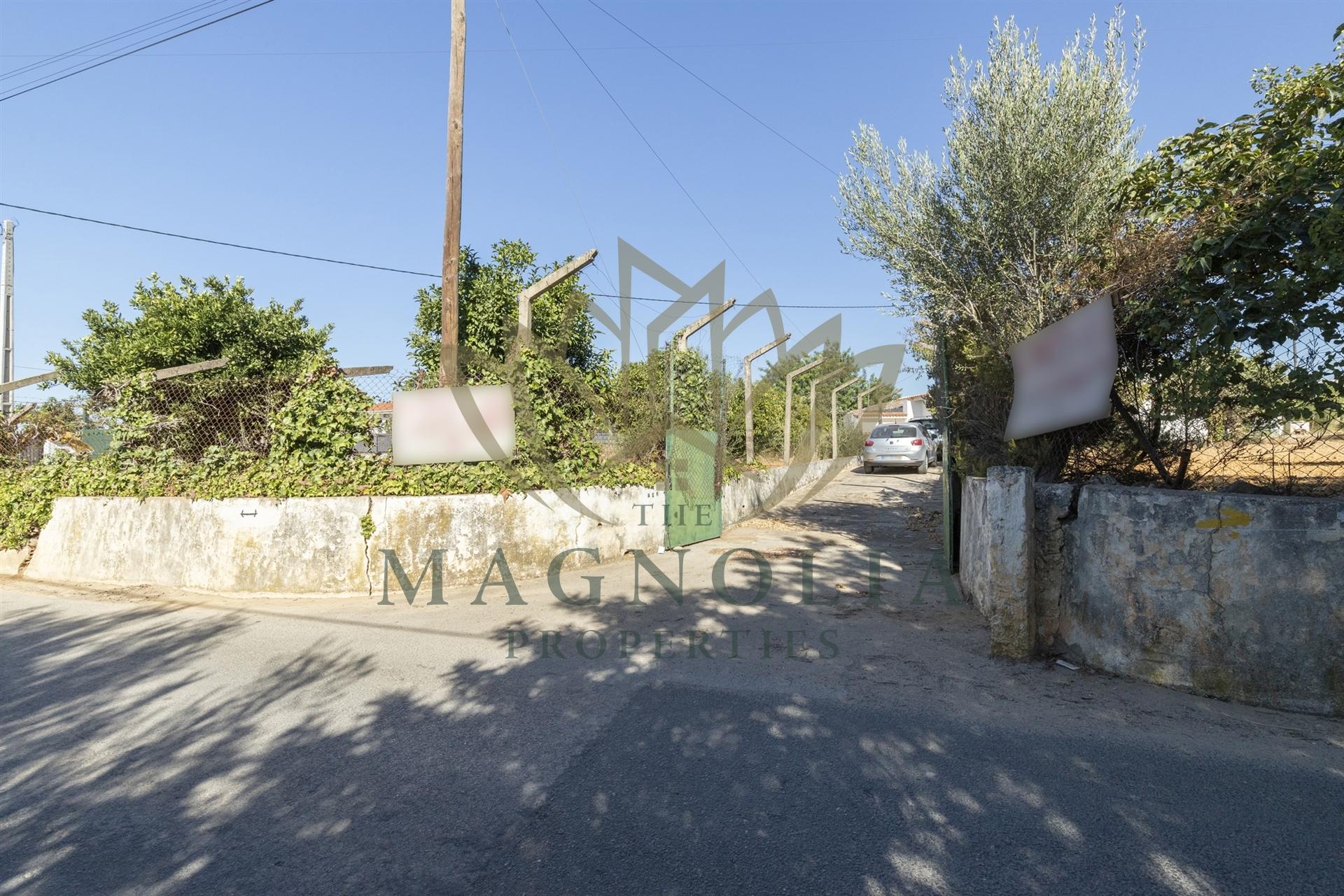 Casa térrea para recuperar, Mata Lobos, Faro