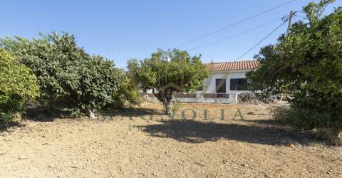 Casa térrea para recuperar, Mata Lobos, Faro