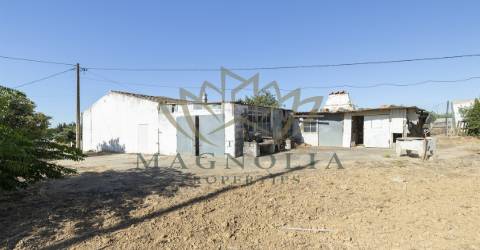 Casa térrea para recuperar, Mata Lobos, Faro