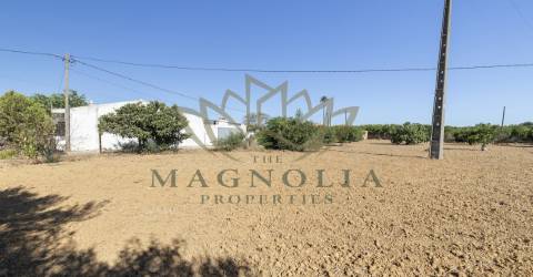 Casa térrea para recuperar, Mata Lobos, Faro