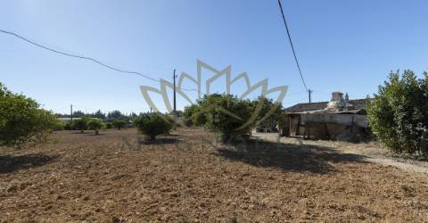 Casa térrea para recuperar, Mata Lobos, Faro