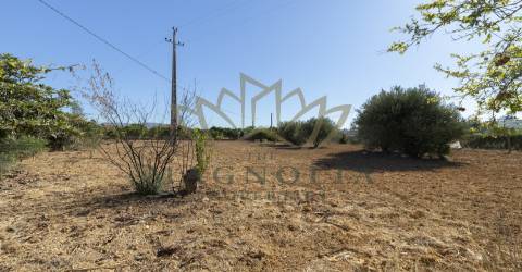 Casa térrea para recuperar, Mata Lobos, Faro