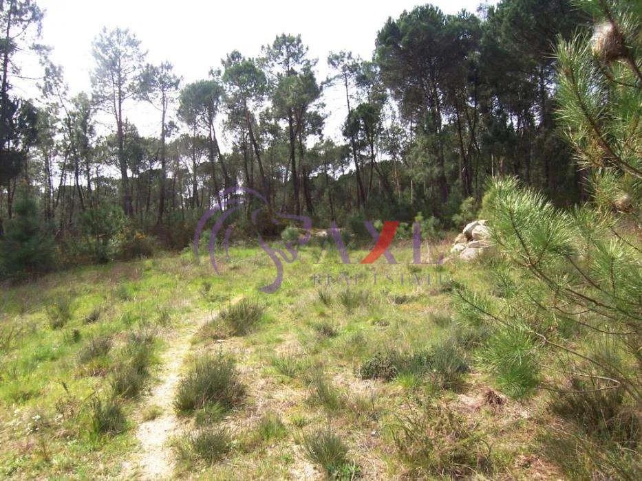 Terreno Para Construção  Venda em Silgueiros,Viseu