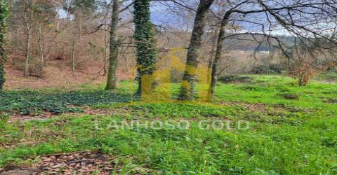 Terreno Misto  Venda em Fafe,Fafe