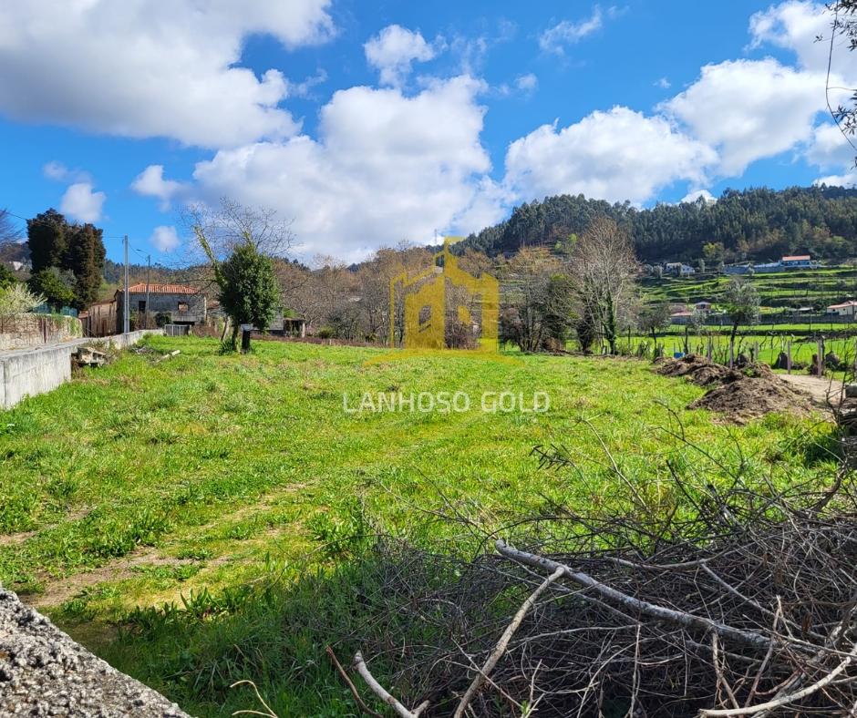 Terreno Rústico  Venda em Calvos e Frades,Póvoa de Lanhoso