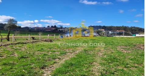 Terreno Rústico  Venda em Calvos e Frades,Póvoa de Lanhoso