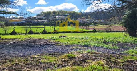 Terreno Rústico  Venda em Calvos e Frades,Póvoa de Lanhoso