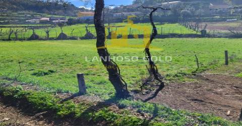Terreno Rústico  Venda em Calvos e Frades,Póvoa de Lanhoso