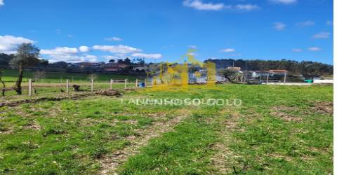 Terreno Rústico  Venda em Calvos e Frades,Póvoa de Lanhoso
