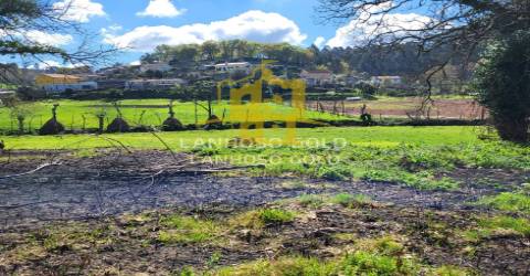 Terreno Rústico  Venda em Calvos e Frades,Póvoa de Lanhoso