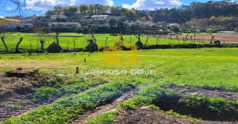 Terreno Rústico  Venda em Calvos e Frades,Póvoa de Lanhoso