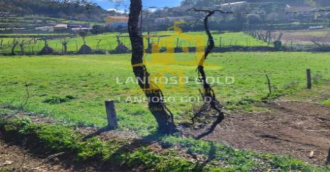 Terreno Rústico  Venda em Calvos e Frades,Póvoa de Lanhoso