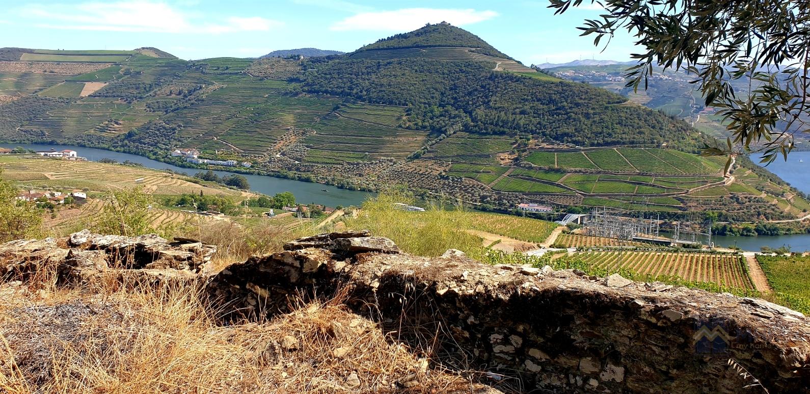 Terreno para construção com vista Rio Douro em Casal de Loivos , Pinhão