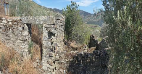 Terreno para construção com vista Rio Douro em Casal de Loivos , Pinhão