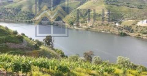 Terreno para construção com vista Rio Douro em Casal de Loivos , Pinhão