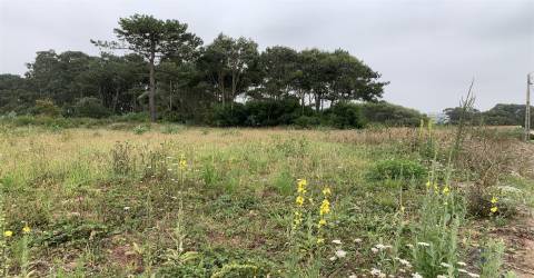 Terreno com projeto  aprovado para construção de duas moradias 2 linha mar