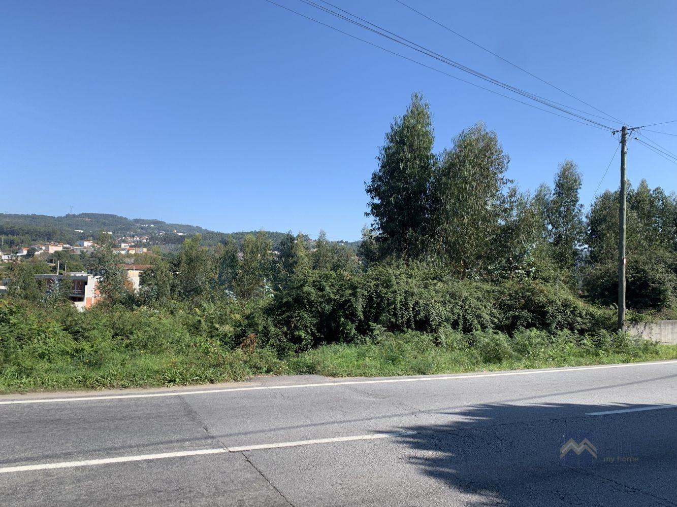 Terreno  Venda em Gandra,Paredes