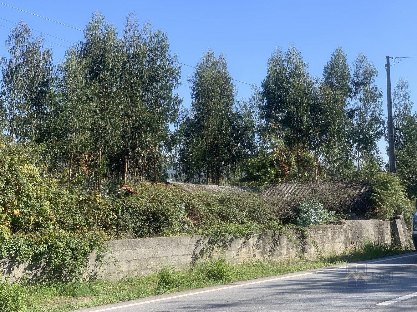 Terreno  Venda em Gandra,Paredes