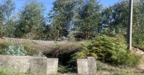 Terreno  Venda em Gandra,Paredes