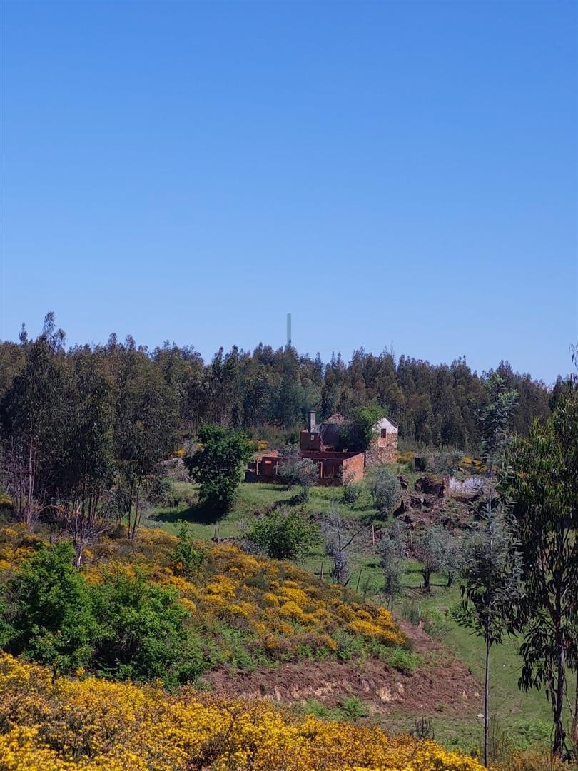 Terreno rústico e urbano. Troviscais cimeiros -  Leiria