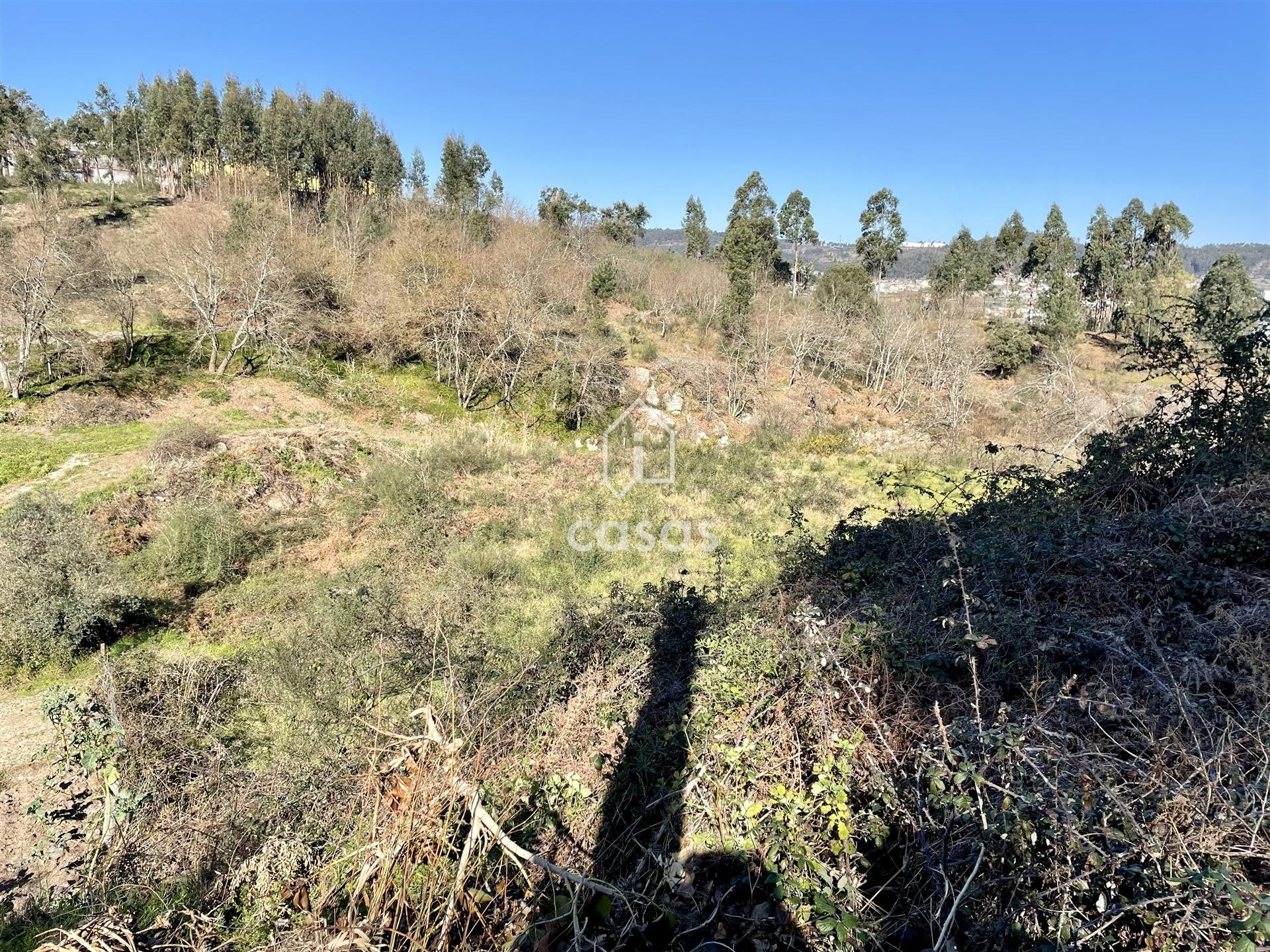 Terreno em Rebordosa, com 2541m2