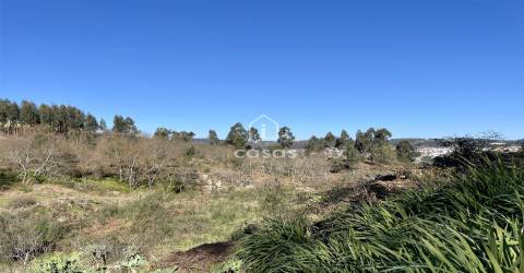 Terreno em Rebordosa, com 2541m2