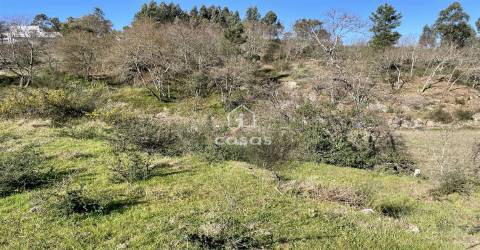 Terreno em Rebordosa, com 2541m2