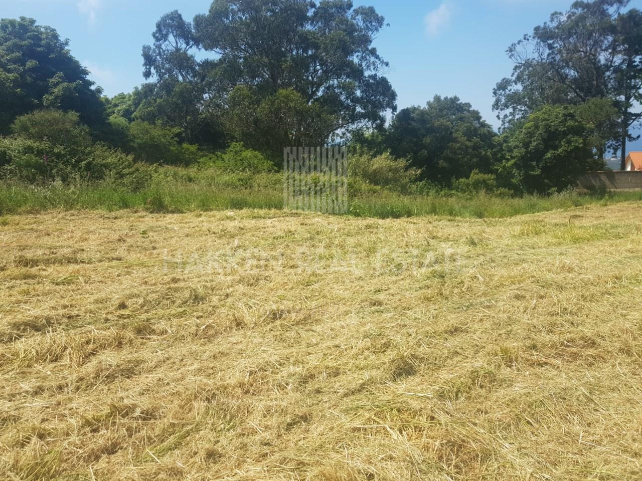 Terreno  Venda em Colares,Sintra