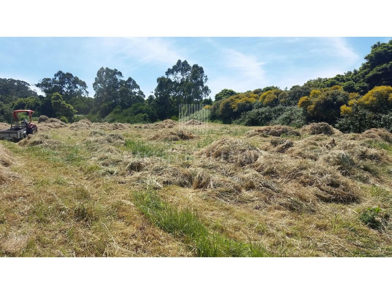 Terreno  Venda em Colares,Sintra