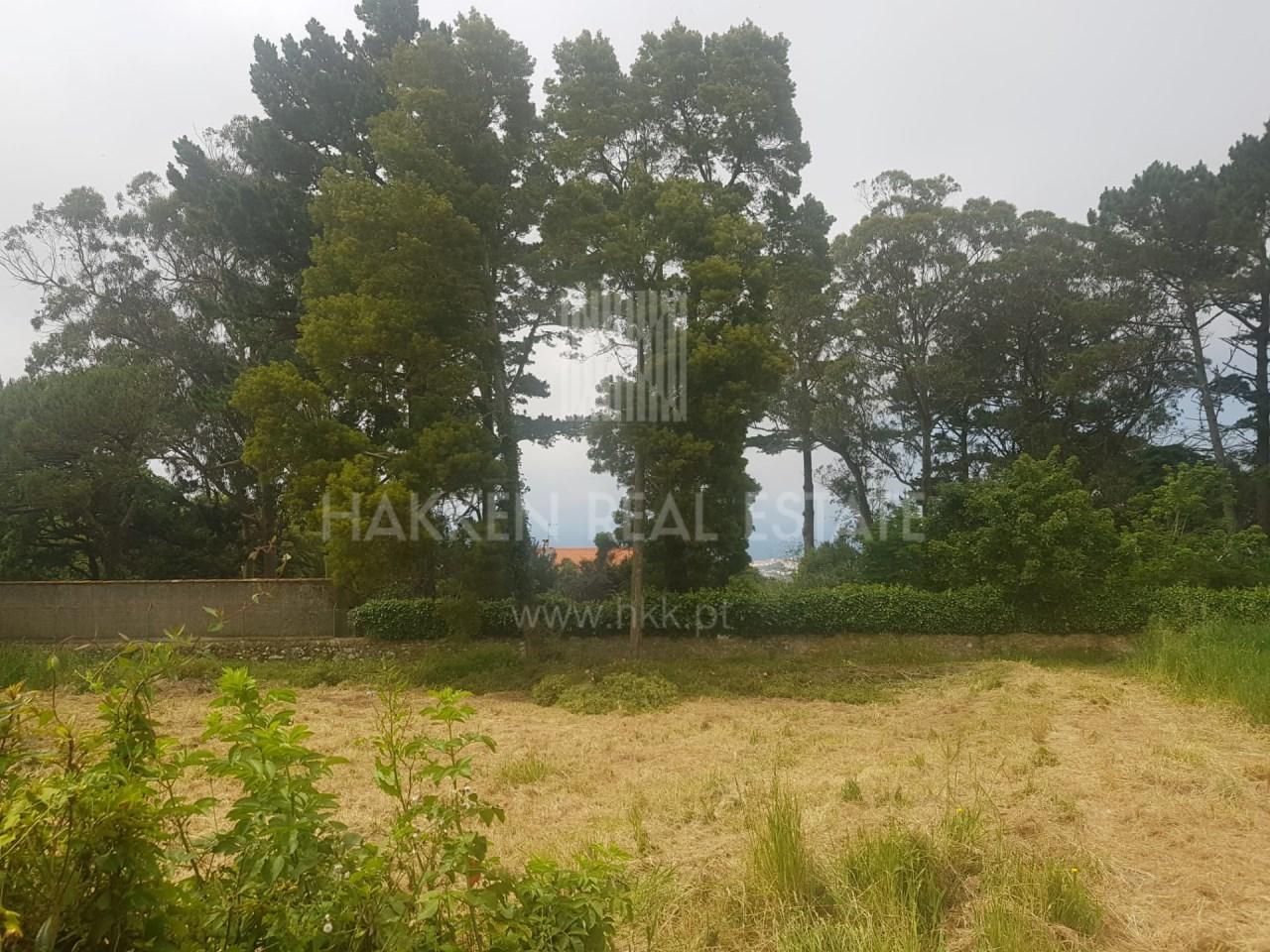 Terreno  Venda em Colares,Sintra