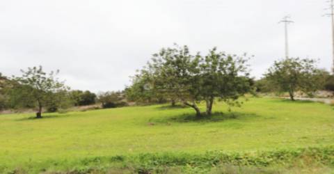 Terreno Rústico  Venda em Loulé (São Sebastião),Loulé