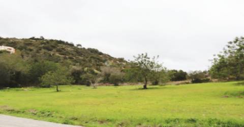 Terreno Rústico  Venda em Loulé (São Sebastião),Loulé