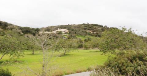Terreno Rústico  Venda em Loulé (São Sebastião),Loulé
